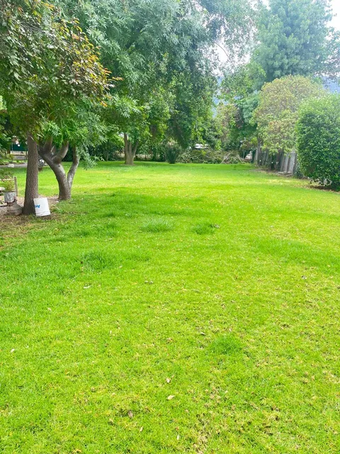 Proyecto Alerce, el terreno, foto 1
